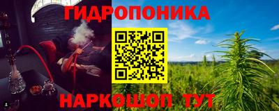 крисы Будённовск
