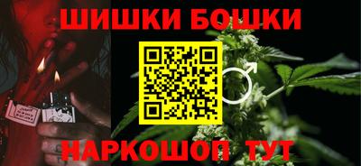 крисы Будённовск