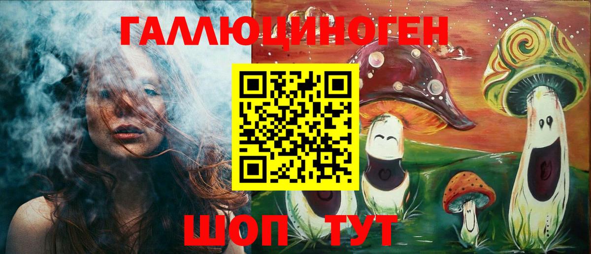 Галлюциногенные грибы Psilocybine cubensis  Вход с VPN  Киселёвск 