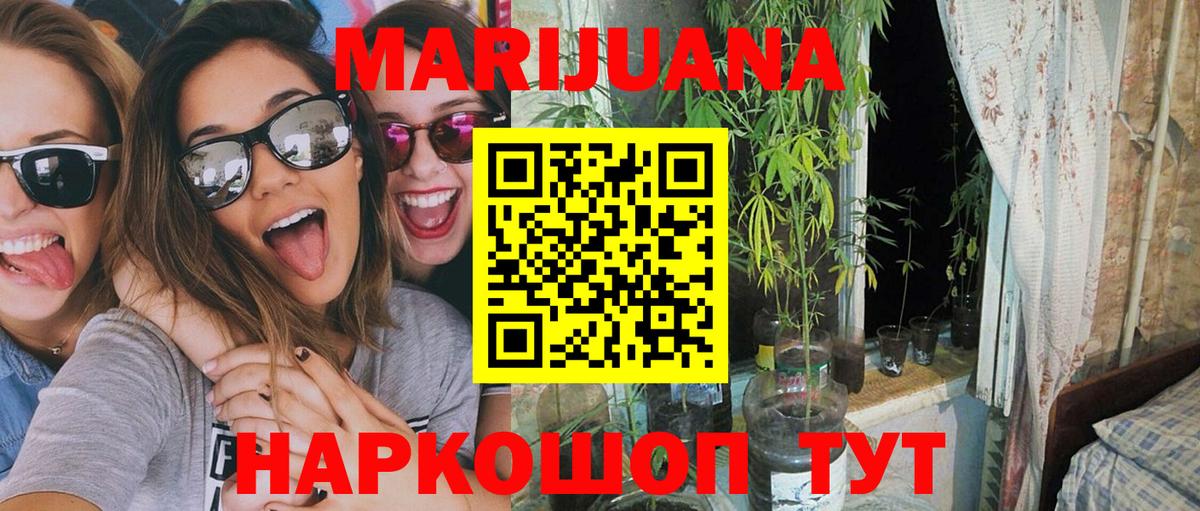 МАРИХУАНА ГИДРОПОН Киселёвск